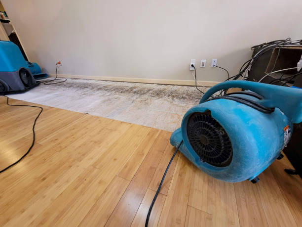 Professional Basement Flood Cleanup technician working in Bandon, OR